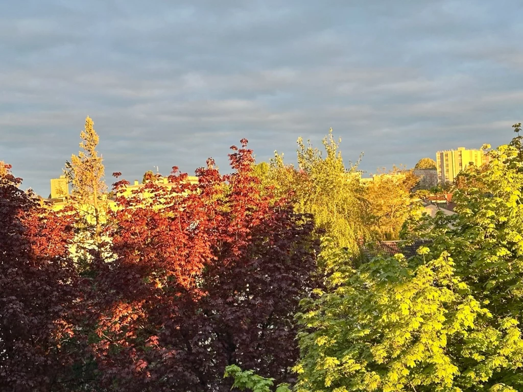 vu panoramique sur fond de paysage
